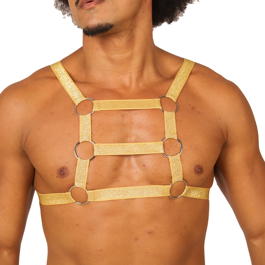 HIT GOLD HARNESS - Men's Fetish Harness with Bold Design