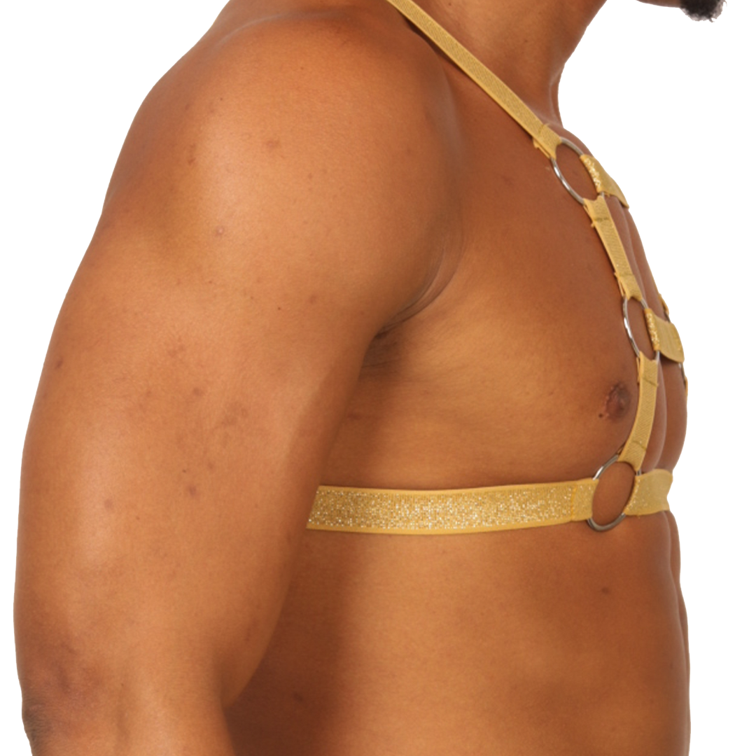 HIT GOLD HARNESS - Men's Fetish Harness with Bold Design