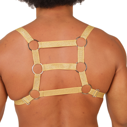 HIT GOLD HARNESS - Men's Fetish Harness with Bold Design