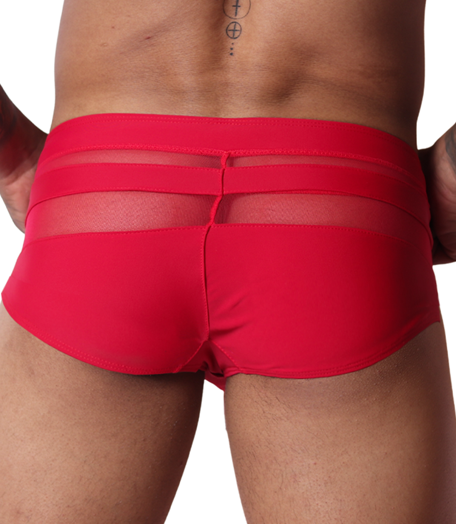 Panel Red Swim Brief back view by Gigo Underwear
