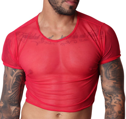Spectrum Red Crop Top by Gigo Underwear